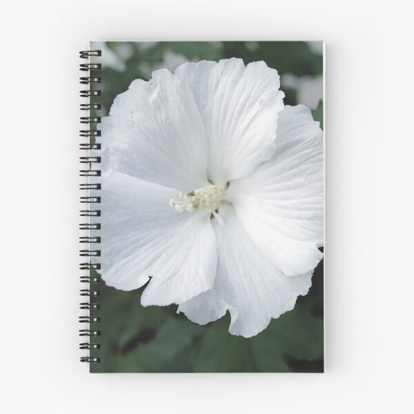 Item preview, Pure White  designed and sold by StampCity.