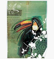 Toucan- Antique Plate- Mixed Media Poster