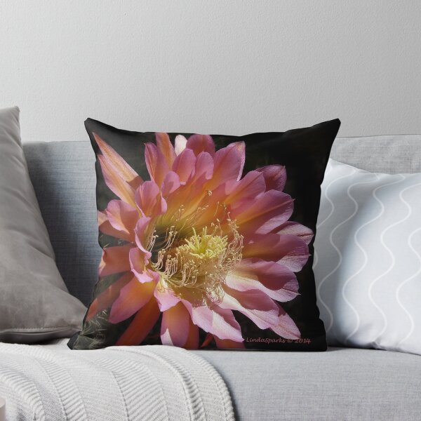 Item preview, Flying Saucer Trichocereus designed and sold by Linda Sparks.