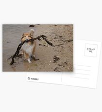 Ambitious Postcards