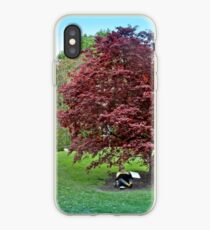 Sketching Under The Red Maple - Grounds for Sculpture iPhone Case