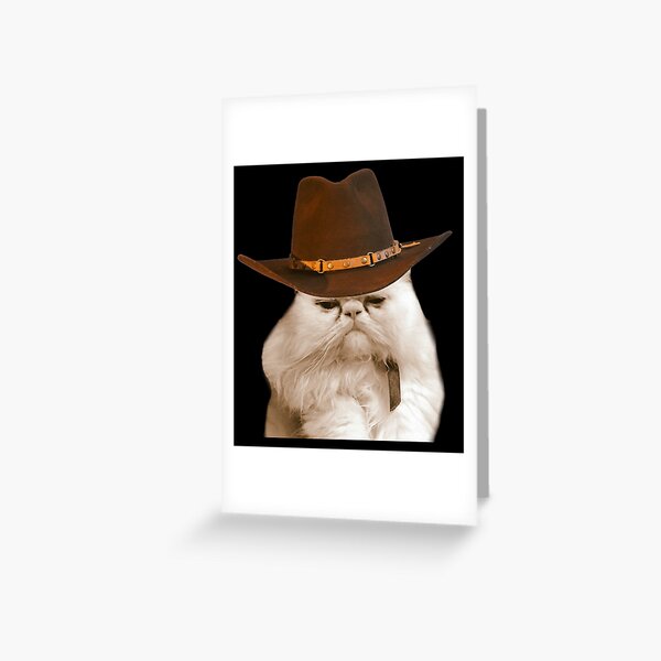 wanted desperado cowboy hat roblox