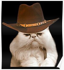 Cowboy Katze Poster