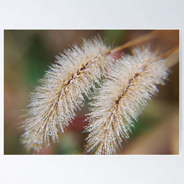Item preview, Tiny Dew Drops designed and sold by xPressiveImages.
