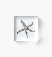 Zentangle Starfish Acrylic Block