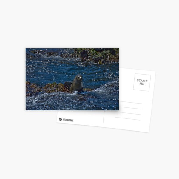 Standing Guard Postcard