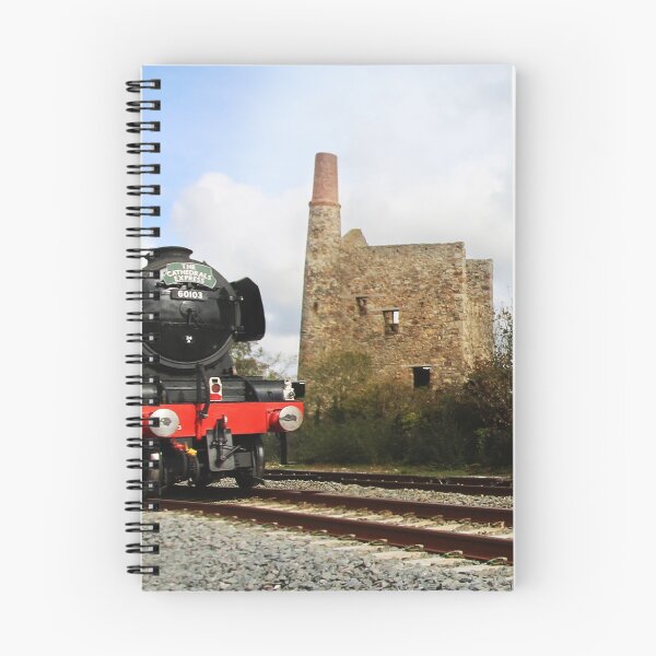 Item preview, The Cathedrals Express 60103 designed and sold by Terri Waters Photography & Design.