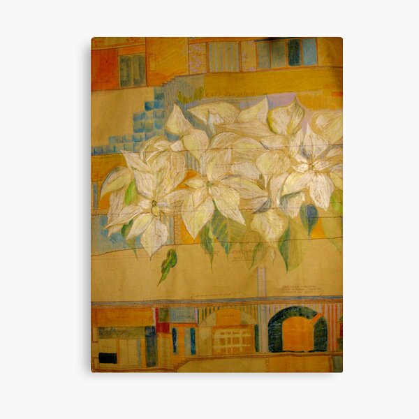 the white x-mas plant Canvas Print