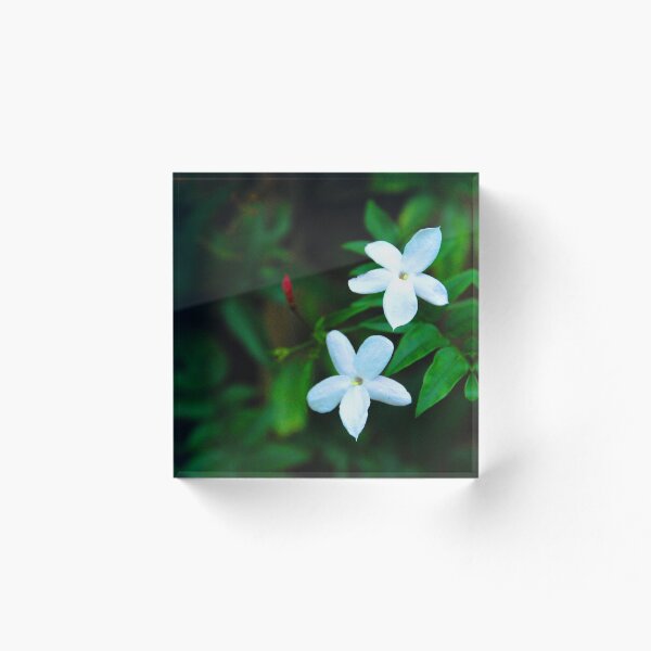 Item preview, Jasmine designed and sold by SaharV.