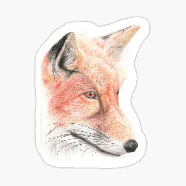 Fox Pencil Art Sticker