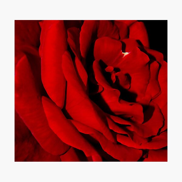 Aperçu de l'œuvre red hot créée et vendue par Virginia Chen.