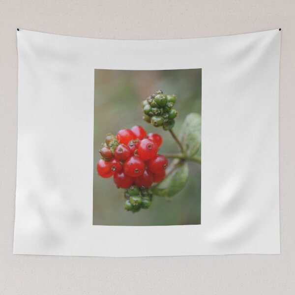 Item preview, Honeysuckle Berries designed and sold by marens.