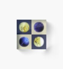 Nebulos Acrylic Block