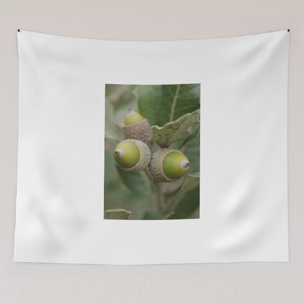 Item preview, Acorns designed and sold by marens.