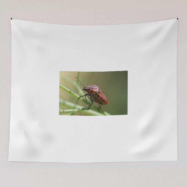 Artikelvorschau, 25 Favoriten am 17/07/13
TOP 10 Platzierung - Bicolor Bugs - Bicolor Beauties
AUSGEZEICHNET AUF DER REDBUBBLE EXPLORE-SEITE
"Italian Striped-Bug" wurde in "Die Welt wie wir sie sehen" vorgestellt entworfen und verkauft von marens.