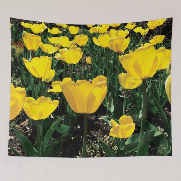 Item preview, Sun-Kissed Tulips by Jerald Simon (Music Motivation - musicmotivation.com) designed and sold by jeraldsimon.