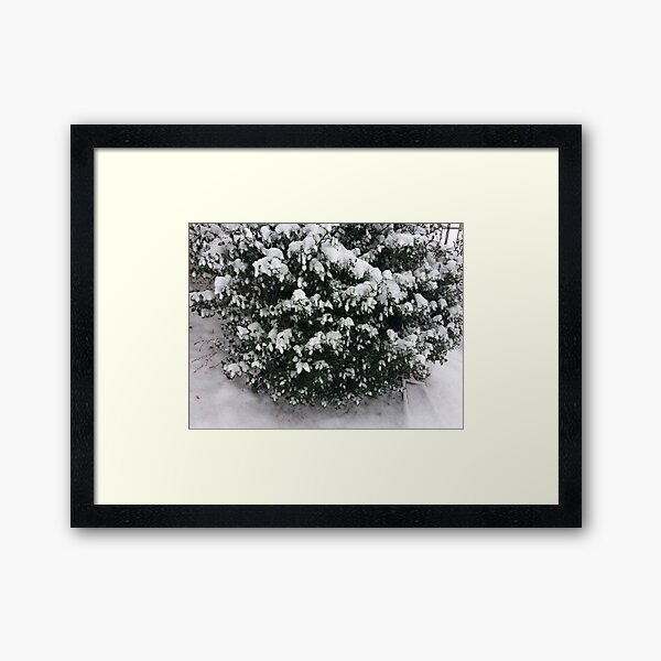 Snow on Fluffy Tree Framed Art Print