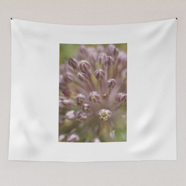 Item preview, Allium designed and sold by marens.