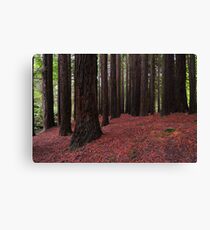 Silent Giants Canvas Print