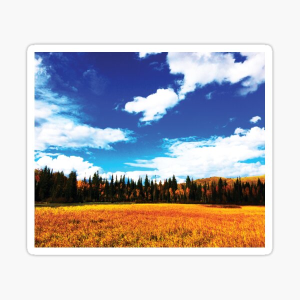 Golden Meadows by Jerald Simon (Music Motivation - musicmotivation.com) Sticker