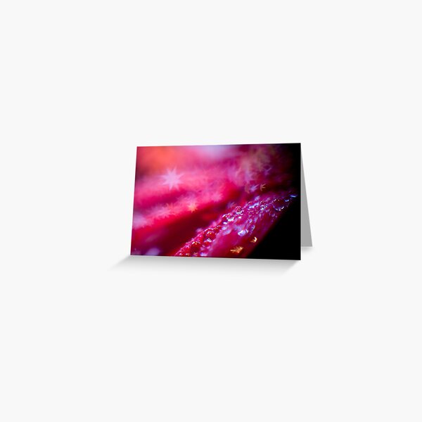 bokeh abstract in red Greeting Card