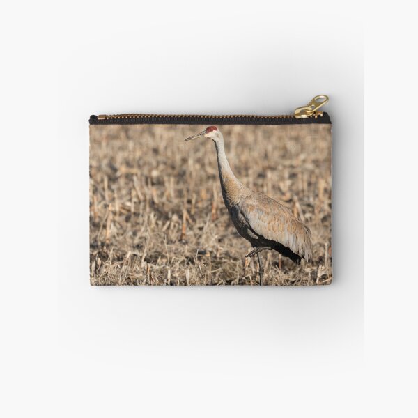 Item preview, Sandhill Crane 2018-8 designed and sold by Thomasyoung.