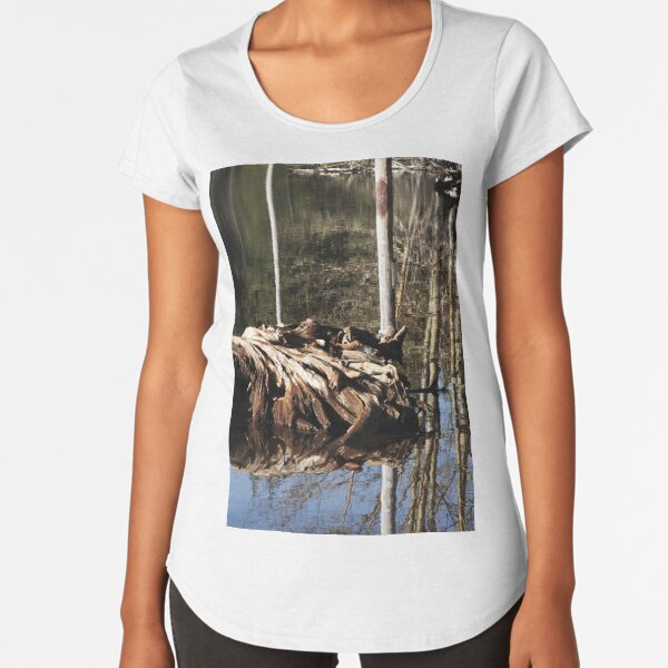 Item preview, Uncovered stump in the water designed and sold by WFP87.