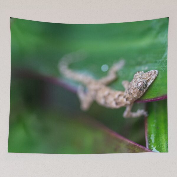 Item preview, Gecko Spy - Nature Geek Chic designed and sold by Rebecca Turk.