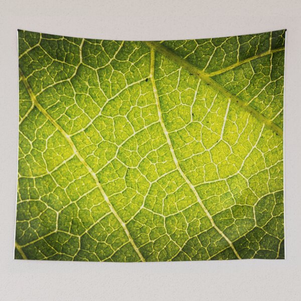 Item preview, Close up Leaf designed and sold by pinkarmy25.