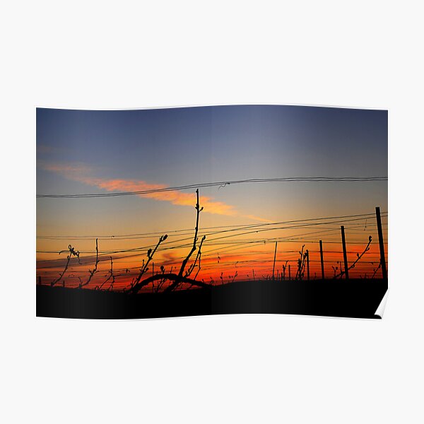 Sunset in Chouilly. Poster