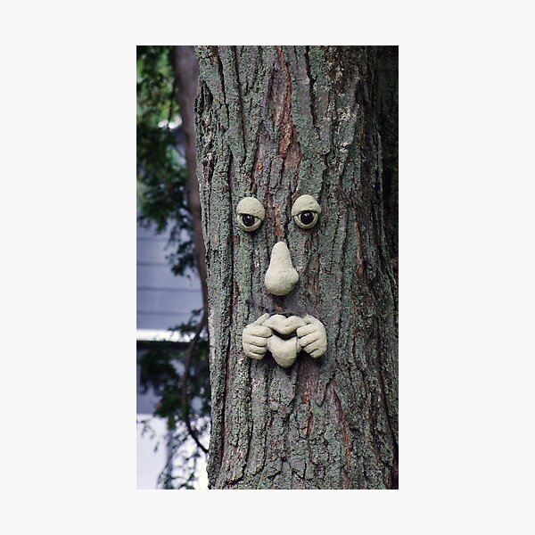 The real face of tree Impression photo