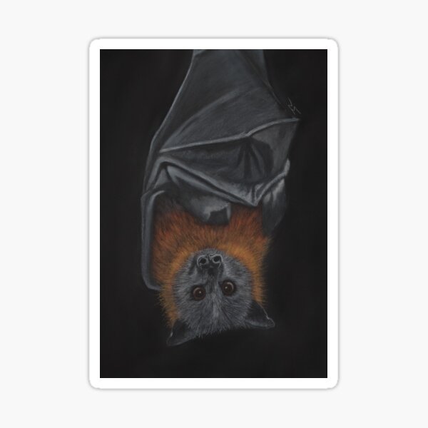 "Siegfried" the Grey-Headed Flying Fox Sticker