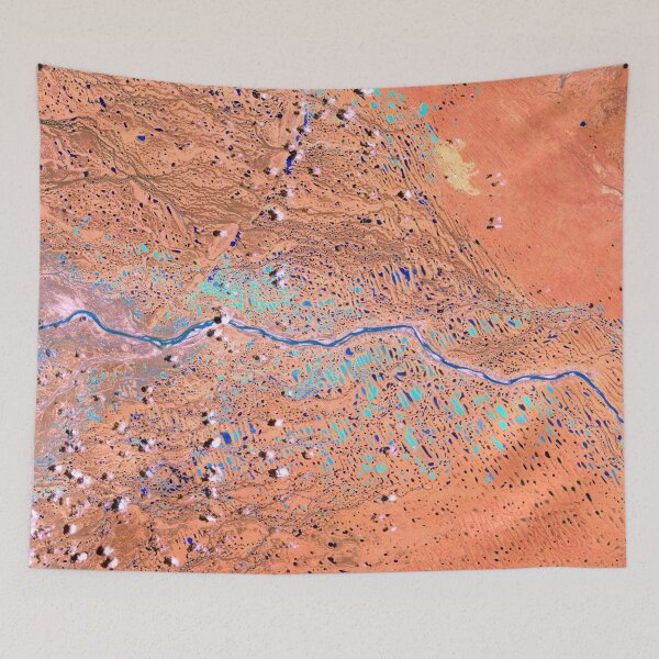 Item preview, Gascoyne Flooding designed and sold by Norman Mueller.