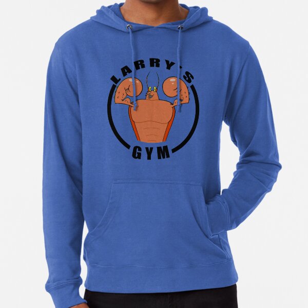 Powerhouse gym sale lightweight hoodie