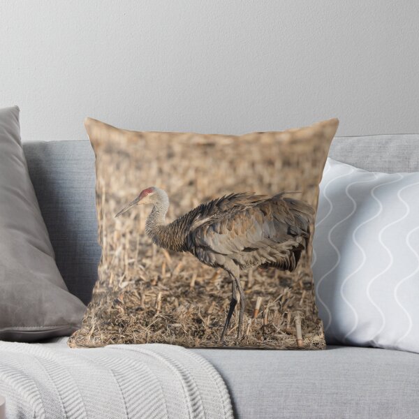 Item preview, Sandhill Crane 2018-9 designed and sold by Thomasyoung.