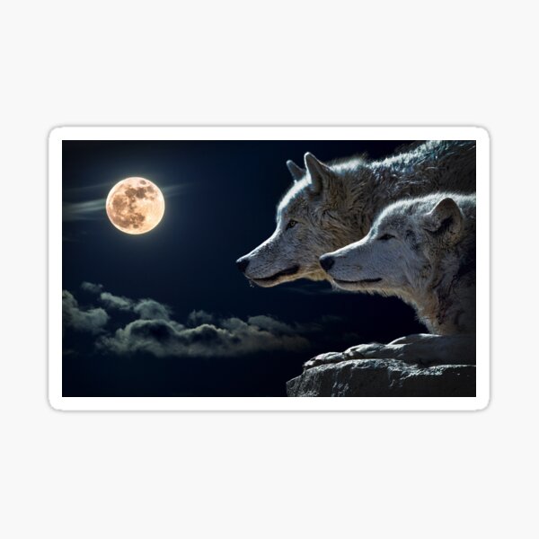 Wolf Dreams Sticker