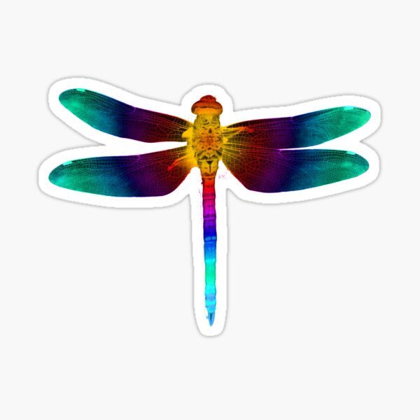 Sticker - Eyes Wide Dragonfly - Tangled Up In Hue