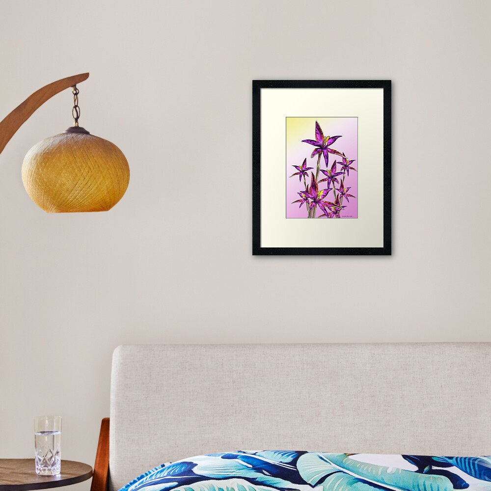 Eastern Queen of Sheba Orchids Framed Art Print