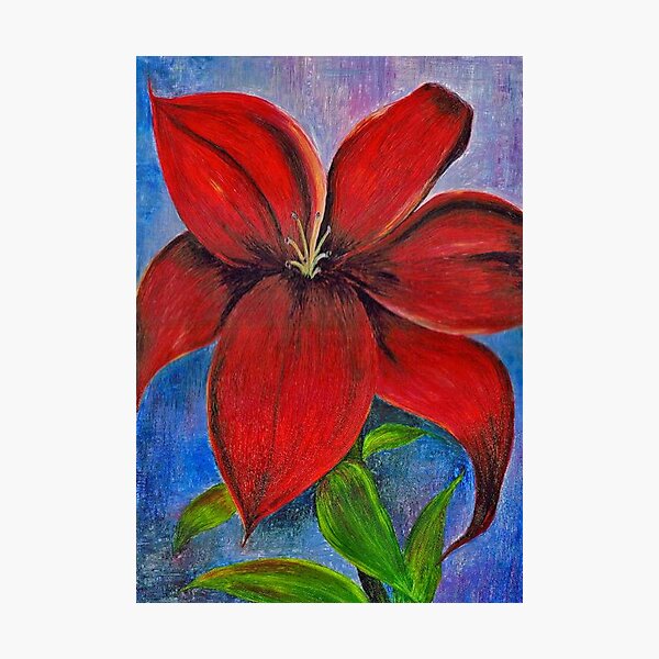 Item preview, Lily designed and sold by Maria Louise Moore.