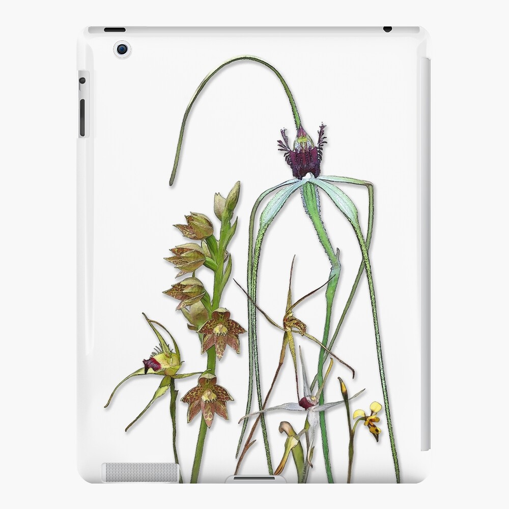 Orchids of Australia 1 Native orchids of Western Australia iPad Case & Skin