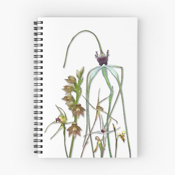 Item preview, Orchids of Australia 1 Native orchids of Western Australia designed and sold by Leonie Mac Lean.