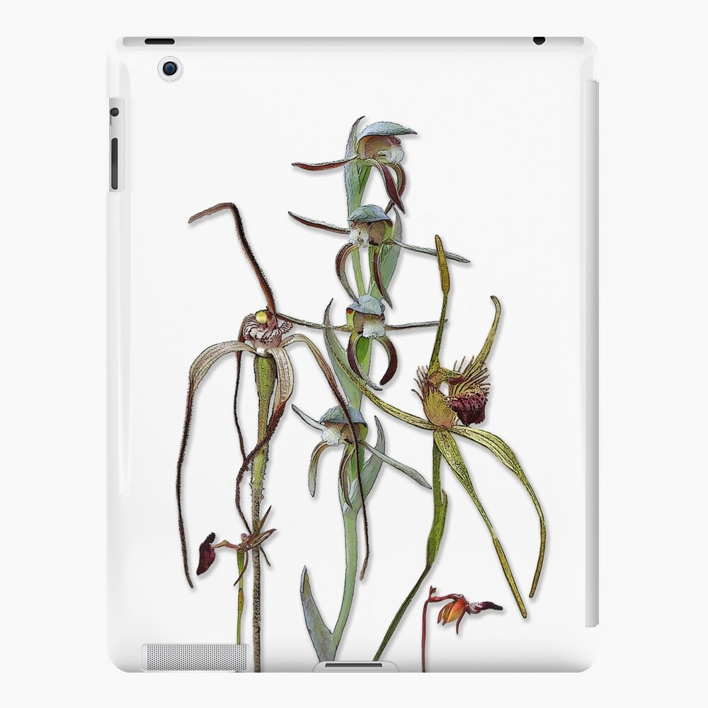Orchids of Australia 5 Native orchids of Western Australia iPad Case & Skin