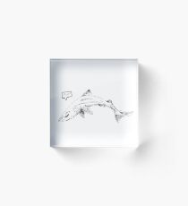 Dogfish Acrylic Block