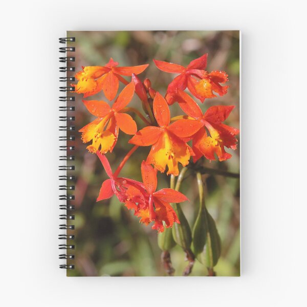 Item preview, Crucifix Orchids designed and sold by Carole-Anne.
