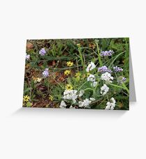 Yellow Daisy Greeting Card