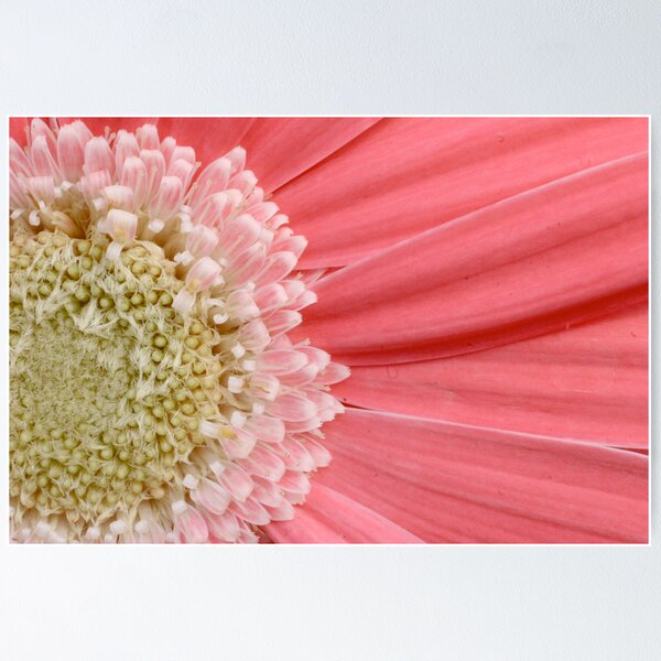 Item preview, Apr2010FlowerCalendar designed and sold by Andy Brooks.