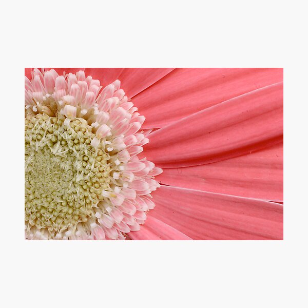 Aperçu de l'œuvre Apr2010FlowerCalendar créée et vendue par Andy Brooks.