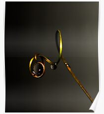 Lens Poster