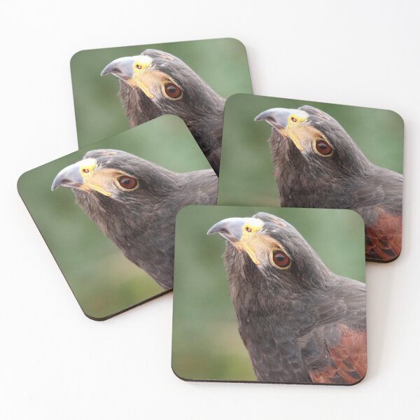 Item preview, Hawk - Messenger  designed and sold by RichImage.