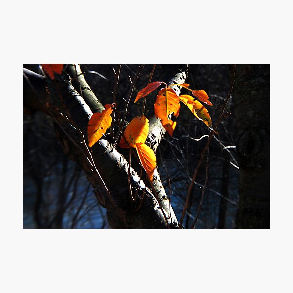 Item preview, Fall Leaf designed and sold by Lynn McCann.